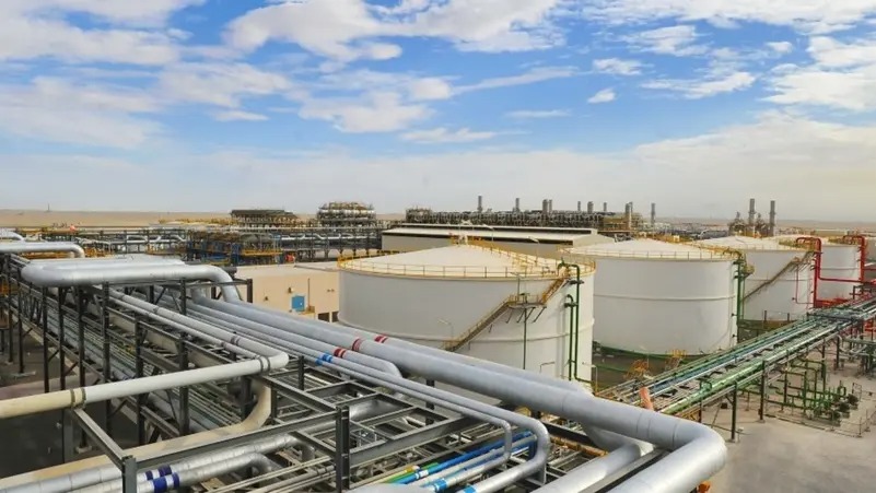 دعم التطوير المهني للممارسين والعاملين في القطاع، من خلال برامج تدريبية وورش عمل وشهادات مهنية معتمدة